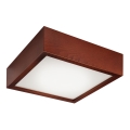 LED laelamp LED/12W/230V männipuit
