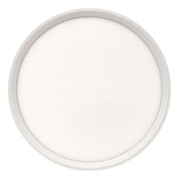 LED laelamp LED/24W/230V 3000/4000/6500K, läbimõõt 30 cm, valge