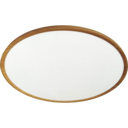 LED laelamp LED/40W/230V 3000/4000/6500K, läbimõõt 50 cm, beež