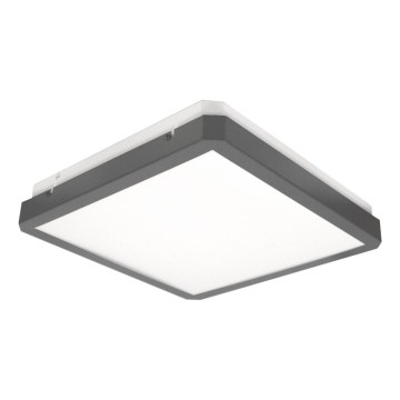 LED laelamp liikumis- ja hämarusanduriga RAVA LED/38W/230V 4000K 41x41 cm antratsiit
