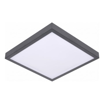LED laelamp liikumis- ja hämarusanduriga VITALI LED/24W/230V 4000K 33x33 cm antratsiit