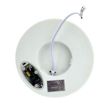 LED-laelamp liikumisanduriga — 20 W, 230 V; valitavad värvitemperatuurid 3000/4000/6500 K; läbimõõt 230 cm; IP54; hall