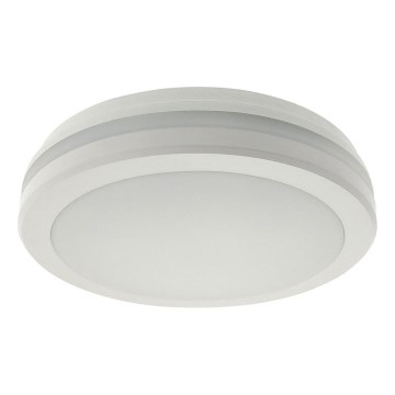 LED-laelamp liikumisanduriga — 20 W, 230 V; valitavad värvitemperatuurid 3000/4000/6500 K; läbimõõt 230 cm; IP54; hall