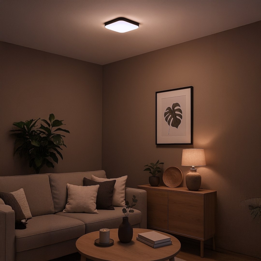 LED laelamp NEMO LED/11W/230V 26x26 cm must