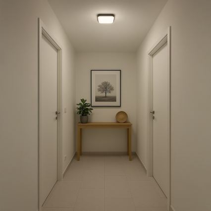 LED laelamp NEMO LED/11W/230V 26x26 cm must