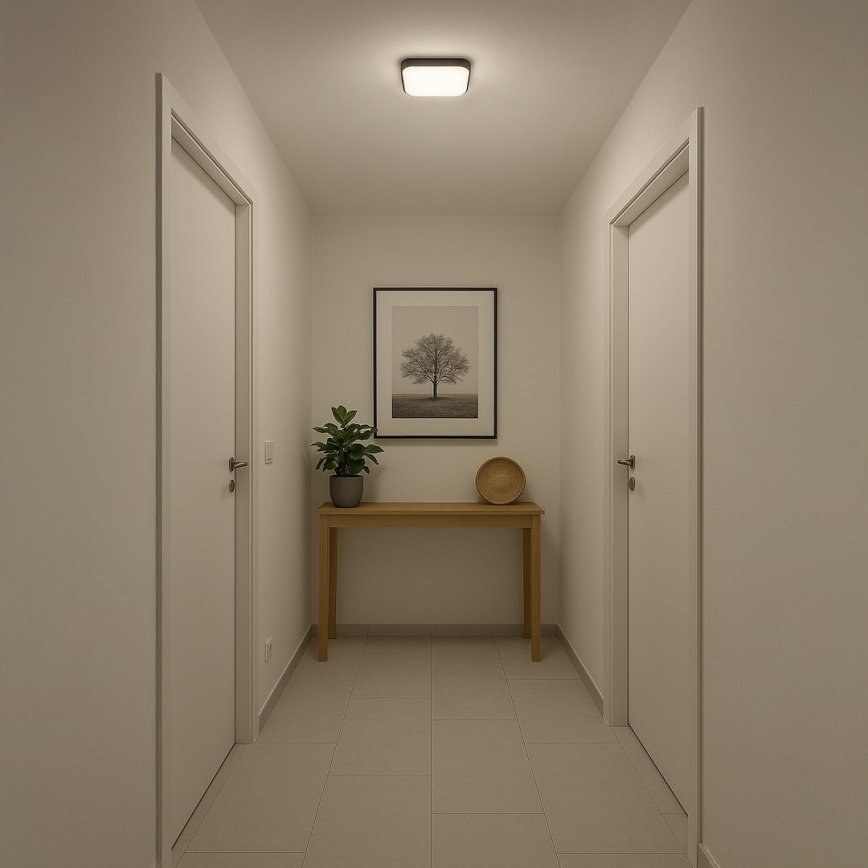 LED laelamp NEMO LED/11W/230V 26x26 cm must