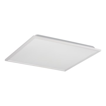 LED laepaneel BAREV LED/36W/230V 4000K 60x60 cm