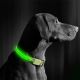 LED Laetav koera kaelarihm 35-43 cm 1xCR2032/5V/40 mAh roheline