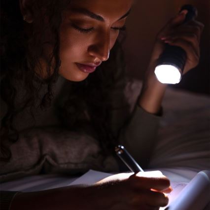 LED Laetav taskulamp USB LED/10W/5V IP54 2000 mAh 1000 läikiv