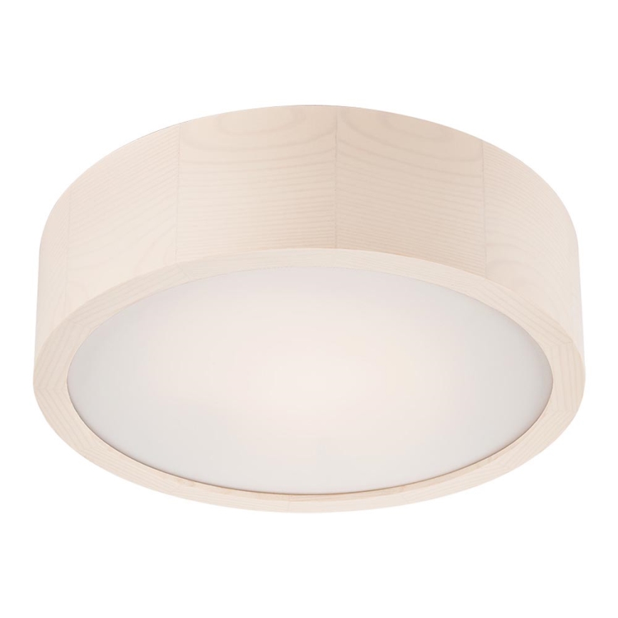 LED Laevalgusti 1xLED/12W/230V mänd