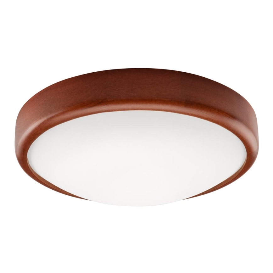 LED Laevalgusti 1xLED/12W/230V mänd