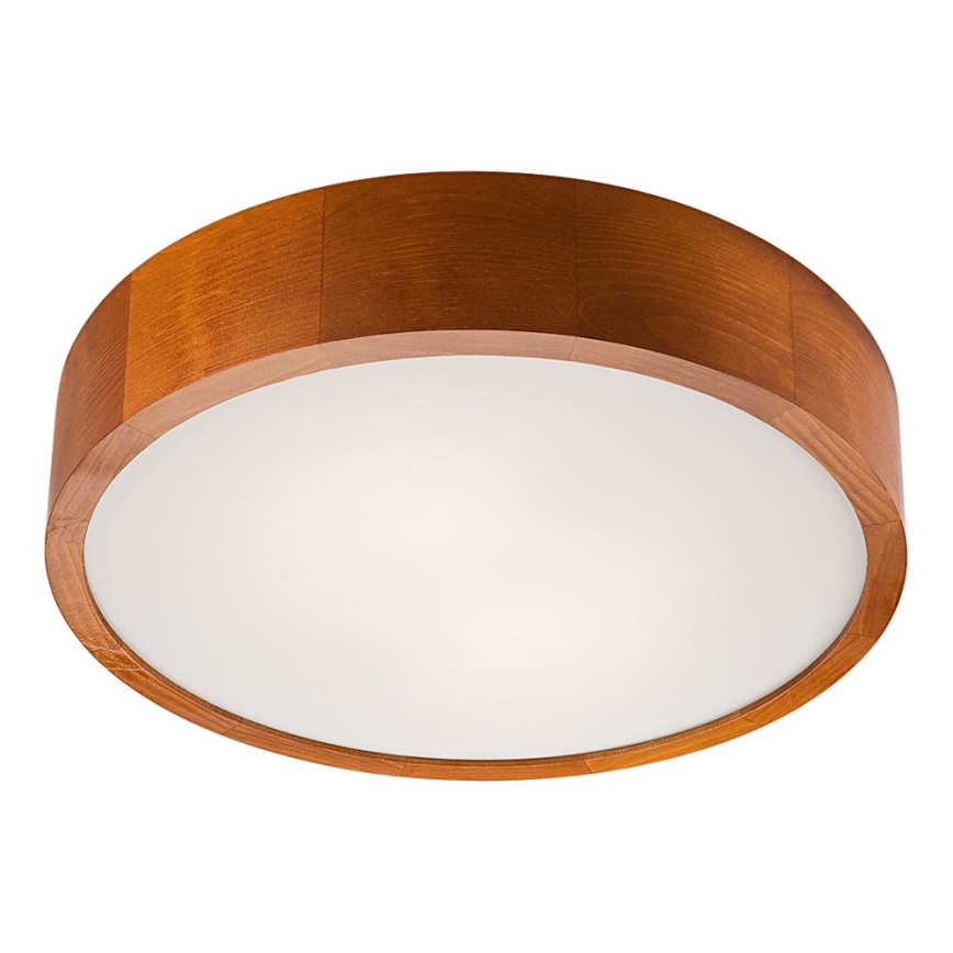 LED Laevalgusti 1xLED/24W/230V mänd - FSC sertifitseeritud