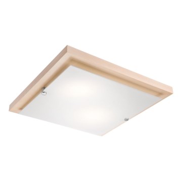 LED Laevalgusti 1xLED/24W/230V pöök - FSC sertifitseeritud