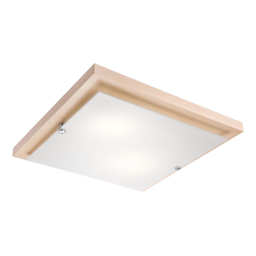 LED Laevalgusti 1xLED/24W/230V pöök