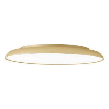 LED laevalgusti ART LED/40W/230V kuldne