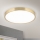 LED Laevalgusti BULLY LED/28W/230V d. 28 cm kuldne