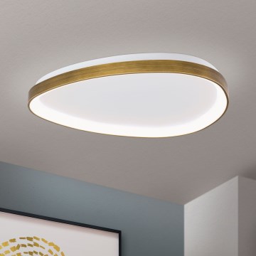 LED Laevalgusti CHARLIE LED/48W/230V d. 65 cm kuldne
