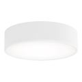 LED Laevalgusti CLEO LED/24W/230V 3000K d. 30 cm valge