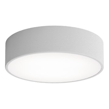 LED Laevalgusti CLEO LED/24W/230V 4000K d. 30 cm hall