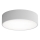 LED Laevalgusti CLEO LED/24W/230V 4000K d. 30 cm hall