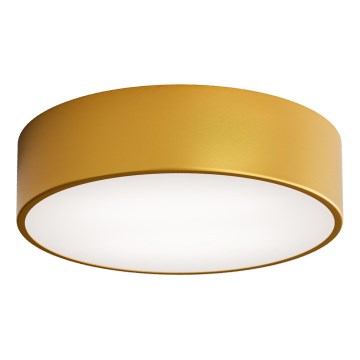 LED Laevalgusti CLEO LED/24W/230V 4000K d. 30 cm kuldne