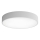 LED Laevalgusti CLEO LED/69W/230V 3000K d. 50 cm hall