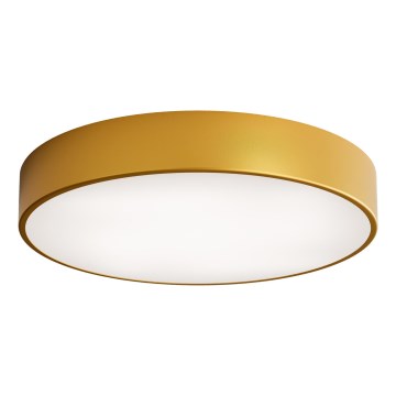 LED Laevalgusti CLEO LED/69W/230V 4000K d. 50 cm kuldne