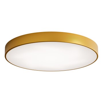 LED Laevalgusti CLEO LED/96W/230V 4000K d. 80 cm kuldne
