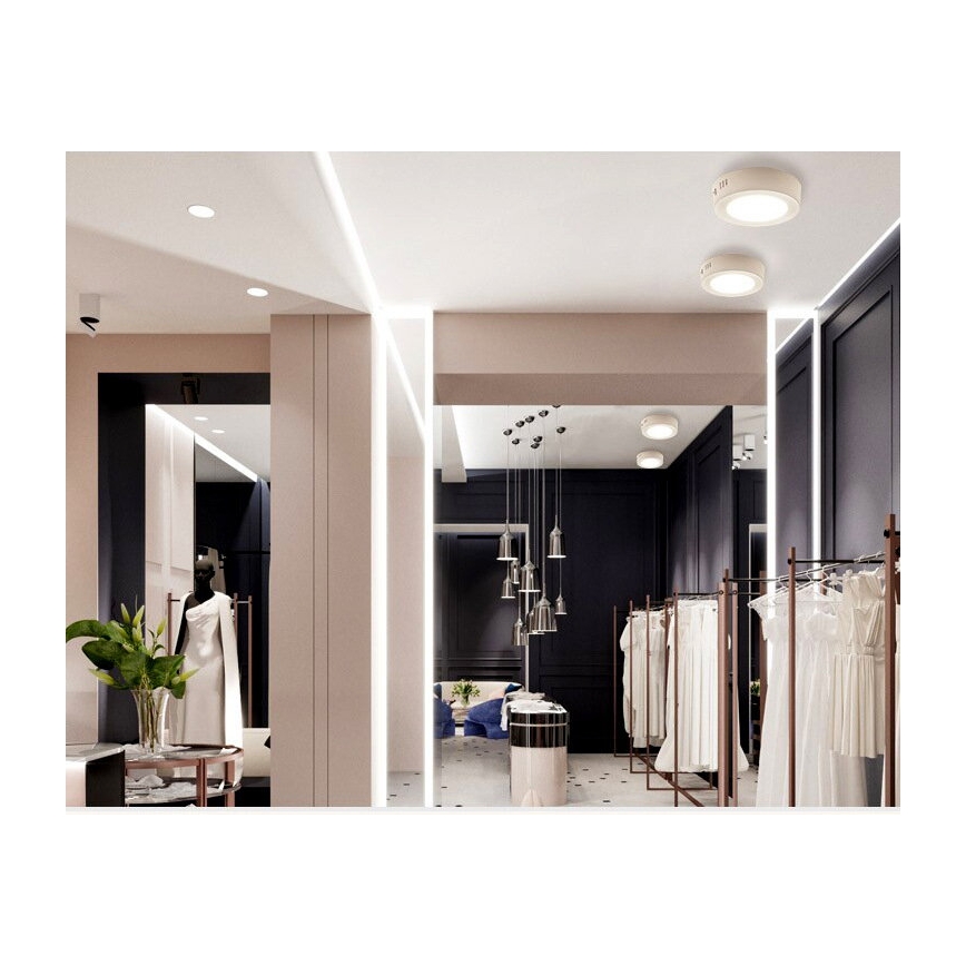 LED laevalgusti DIEGO LED/12W/230V 4000K IP40 läbimõõt 16,5 cm valge
