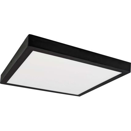 LED Laevalgusti FENIX LED/24W/230V 3800K 29,8 cm