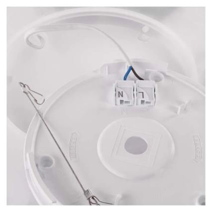 LED Laevalgusti FLORI LED/22W/230V 4000K must 42x42 cm
