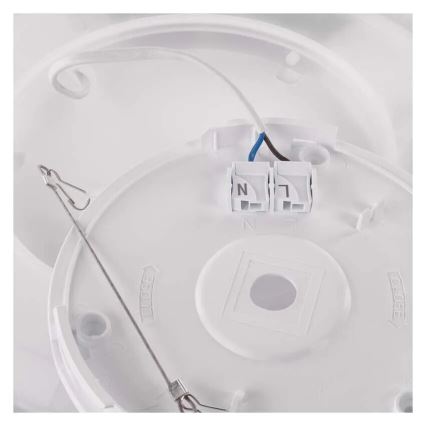 LED Laevalgusti FLORI LED/22W/230V 4000K must d. 42 cm