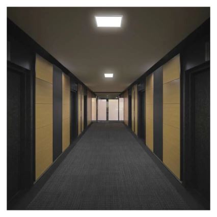 LED Laevalgusti FLORI LED/22W/230V 4000K valge 42x42 cm