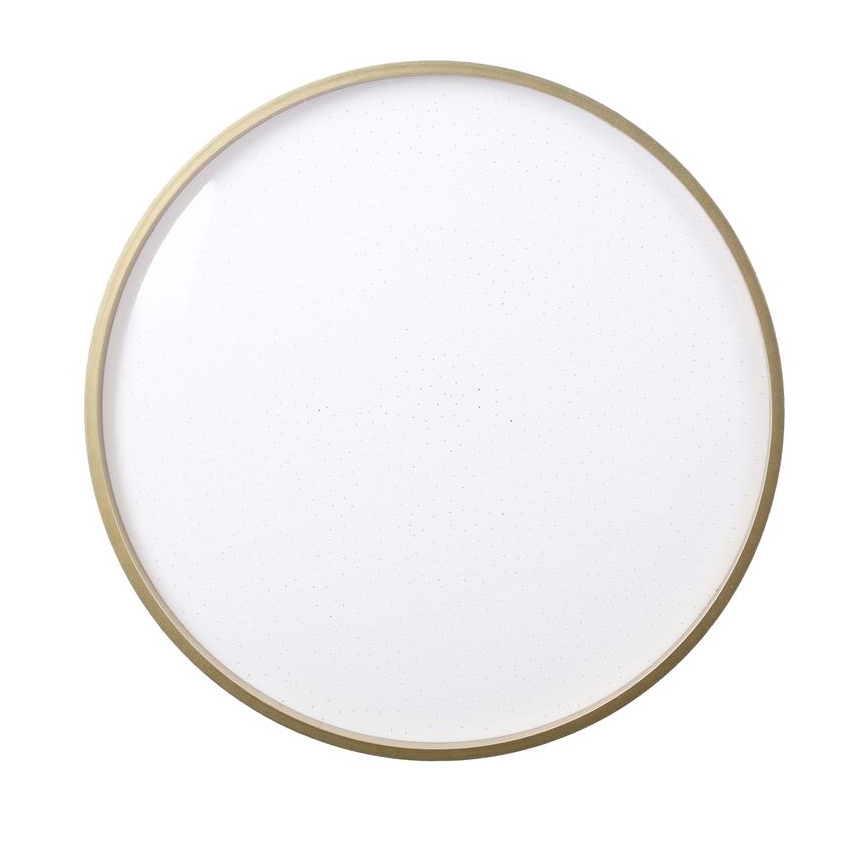LED Laevalgusti FLORIDA LED/18W/230V must
