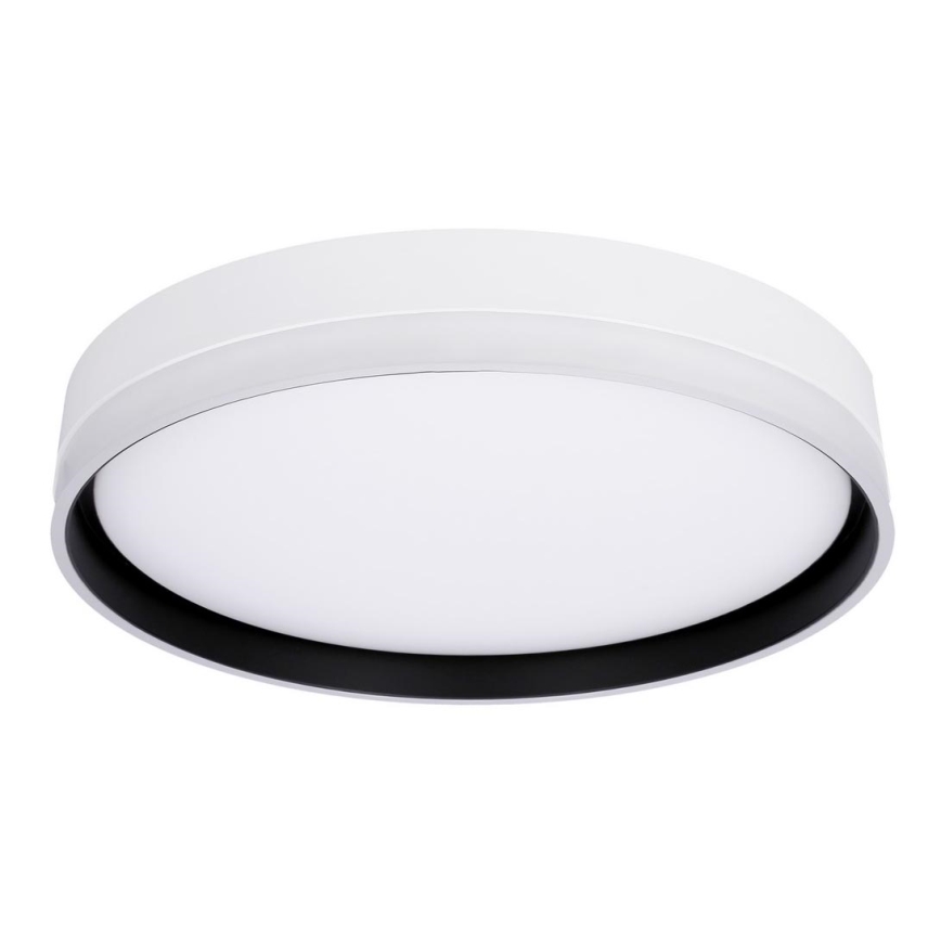 LED Laevalgusti FLORIDA LED/24W/230V valge