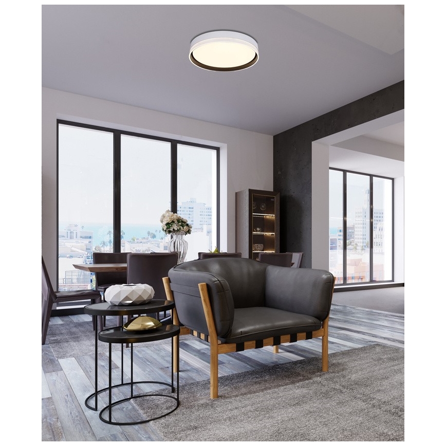 LED Laevalgusti FLORIDA LED/24W/230V valge