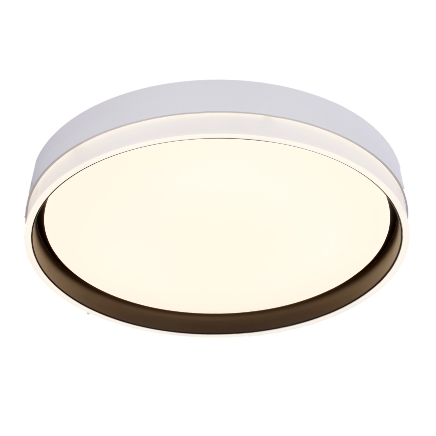 LED Laevalgusti FLORIDA LED/24W/230V valge