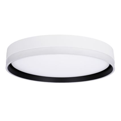 LED Laevalgusti FLORIDA LED/24W/230V valge