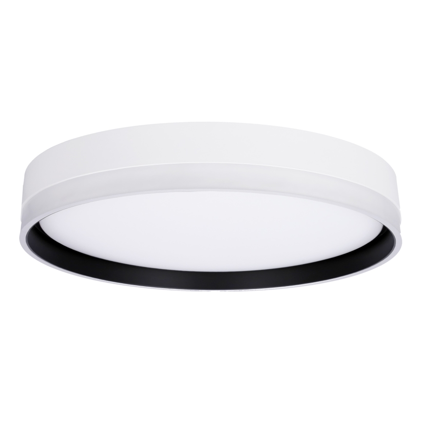 LED Laevalgusti FLORIDA LED/24W/230V valge
