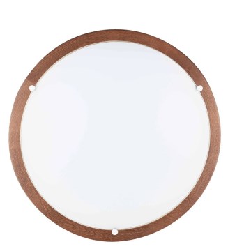 LED Laevalgusti FRIDA LED/18W/230V pöök