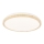 LED Laevalgusti GANDAVA LED/18W/230V