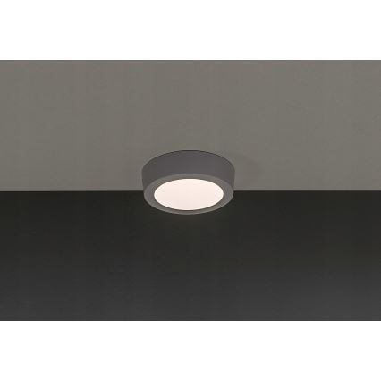 LED Laevalgusti GERRIT LED/6W/230V 3,000K