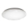 LED-laevalgusti IRIDIO 1xLED/48W/230V