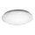 LED Laevalgusti IRIDIO1xLED/36W/230V