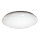 LED Laevalgusti IRIDIO1xLED/36W/230V