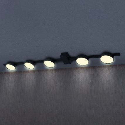 LED Laevalgusti JOY 5xGX53/6W/230V must