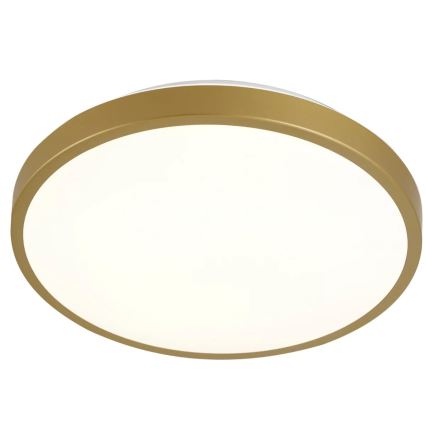 LED Laevalgusti KERN LED/15W/230V d. 29 cm