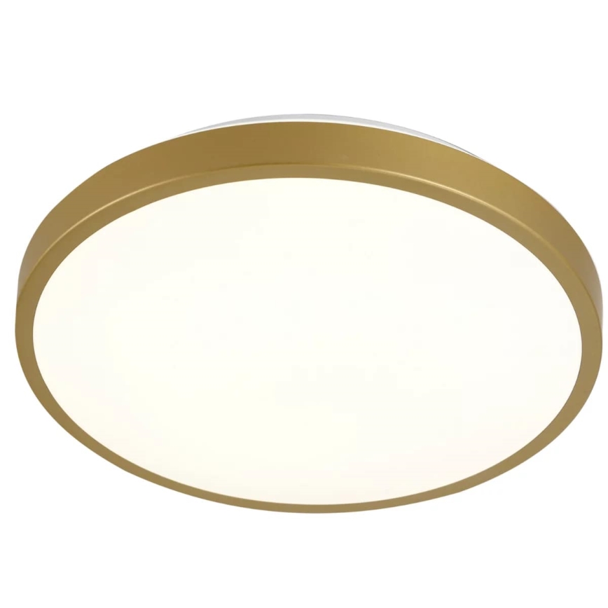 LED Laevalgusti KERN LED/15W/230V d. 29 cm