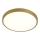 LED Laevalgusti KERN LED/24W/230V d. 39 cm