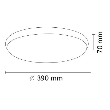 LED-laevalgusti KERN LED/24W/230V must